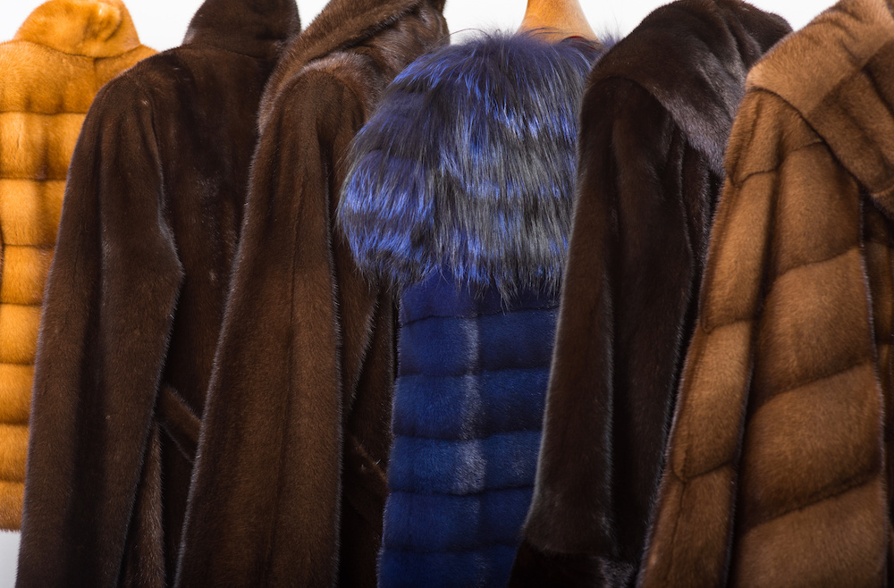 The Top Fur Types in the Industry | Morris Kaye Furs