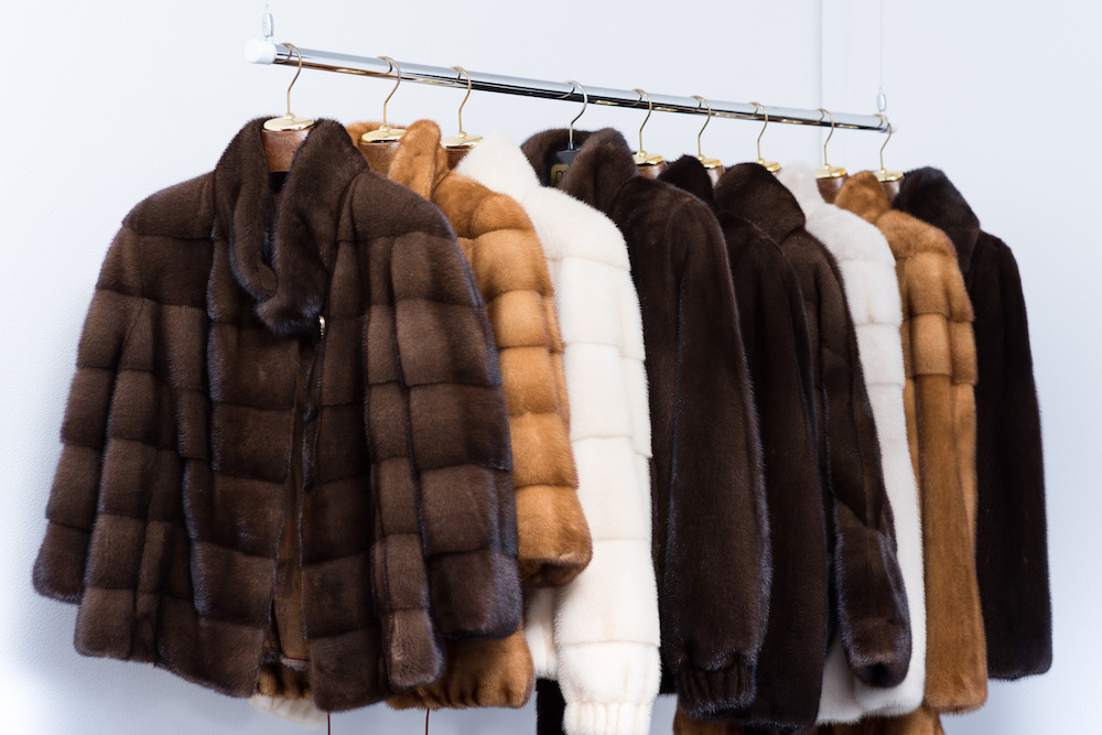 Which Type of Fur is Best for Your Lifestyle and Budget?